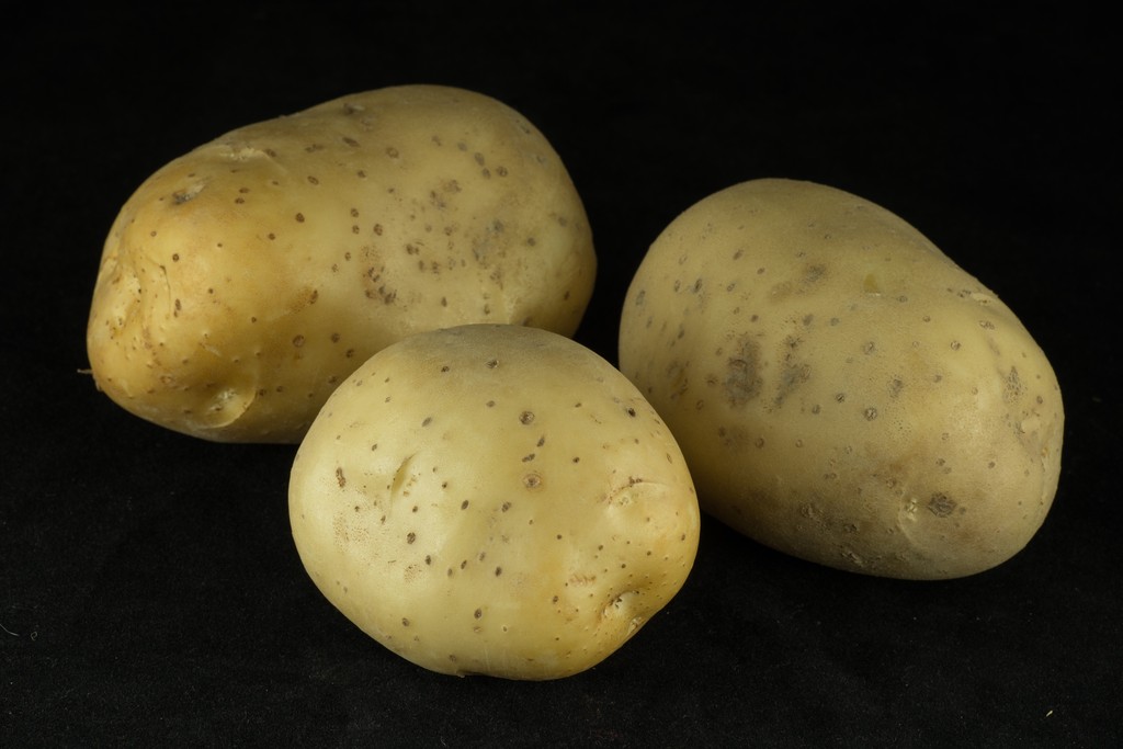 Potatoes - Center For Technology Licensing
