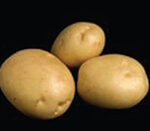photo of three attractive and large tubers on black background