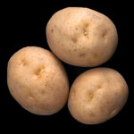 3 small round tubers