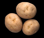 small round tubers