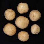 small round tubers displayed in a circle