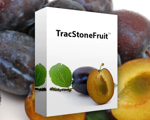 TracStone Fruit photo