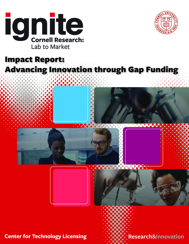 Ignite Impact Report Cover page