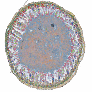 Iwijn De Vlaminck invention