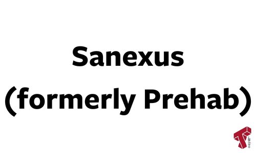 Sanexus logo