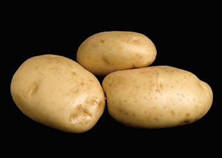 photo of three oblong tubers