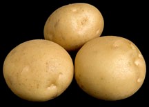 Lamoka potato